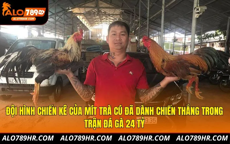 Đội hình chiến kê của Mít Trà Cú đã dành chiến thắng trong trận đá gà 24 tỷ