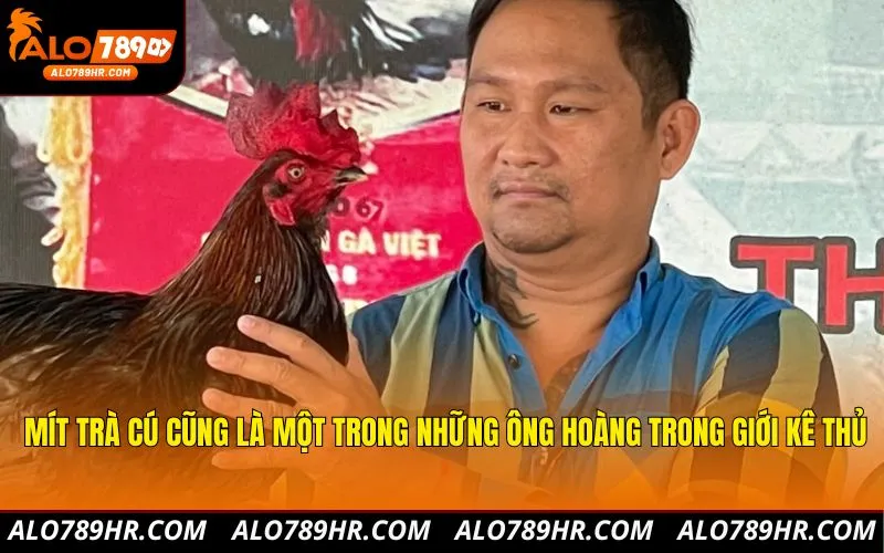 Mít Trà Cú cũng là một trong những ông hoàng trong giới kê thủ