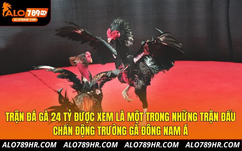 Trận đá gà 24 tỷ được xem là một trong những trận đấu chấn động trường gà Đông Nam Á